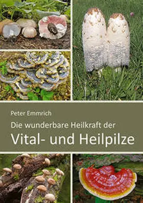 Emmrich |  Die wunderbare Heilkraft der Vital- und Heilpilze | Buch |  Sack Fachmedien