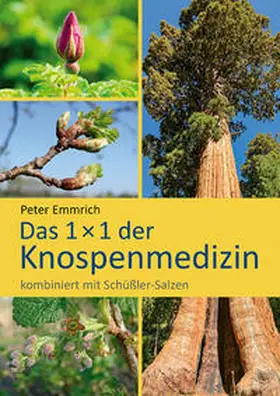 Emmrich |  Das 1×1 der Knospenmedizin | Buch |  Sack Fachmedien