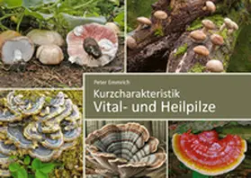 Emmrich |  Vital- und Heilpilze | Buch |  Sack Fachmedien