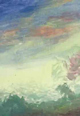  Farbe - Blick in den Abendhimmel über Norderstedt nach einem Gewittersturm | Buch |  Sack Fachmedien