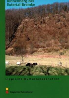 Füller / Schultz / Steinheider |  Der Rinnenberg bei Extertal-Bremke | Buch |  Sack Fachmedien