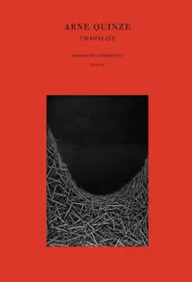 La Galleria Dorothea van der Koelen, Venezia |  Arne Quinze | Buch |  Sack Fachmedien