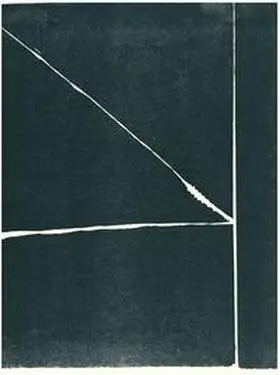 Kultur- und Sportamt Bietigheim-Bissingen - Städtische Galerie |  Linolschnitt heute | Buch |  Sack Fachmedien