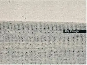  Ute Pleuger | Buch |  Sack Fachmedien