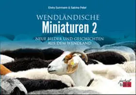 Surrmann / Peter |  Wendländische Miniaturen 2 | Buch |  Sack Fachmedien