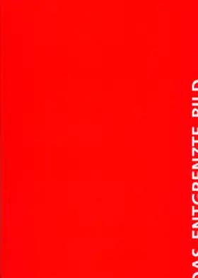 Gerhardus |  Das entgrenzte Bild | Buch |  Sack Fachmedien