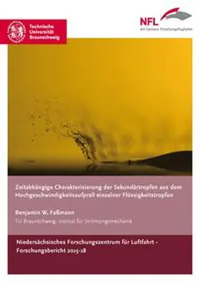 Faßmann |  Zeitabhängige Charakterisierung der Sekundärtropfen aus dem Hochgeschwindigkeitsaufprall einzelner Flüssigkeitstropfen | Buch |  Sack Fachmedien