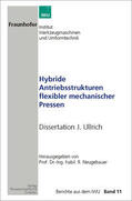 Neugebauer / Ullrich |  Hibride Antriebsstrukturen flexibler mechanischer Pressen | Buch |  Sack Fachmedien