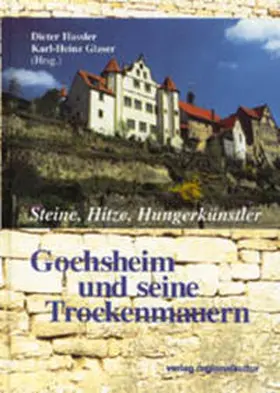 Rheinstädter / Link / Hassler |  Steine, Hitze, Hunger Künstler | Buch |  Sack Fachmedien