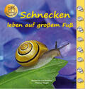 Fischer-Nagel |  Schnecken | Buch |  Sack Fachmedien