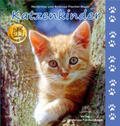 Fischer-Nagel |  Katzenkinder | Buch |  Sack Fachmedien