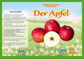 Fischer-Nagel |  Naturkamishibai - Der Apfel | Loseblattwerk |  Sack Fachmedien