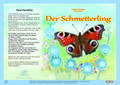 Fischer-Nagel |  Natur-Kamishibai - Der Schmetterling | Loseblattwerk |  Sack Fachmedien