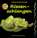 Fischer-Nagel |  Riesenschlangen | Buch |  Sack Fachmedien