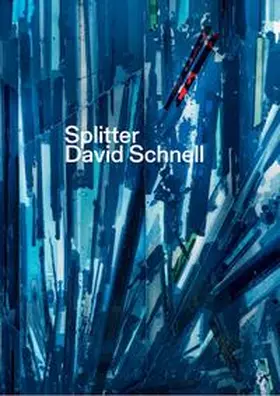 Bußmann / Kraemer |  Splitter. David Schnell | Buch |  Sack Fachmedien