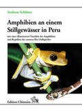 Schlüter |  Amphibien an einem Stillgewässer in Peru | Buch |  Sack Fachmedien