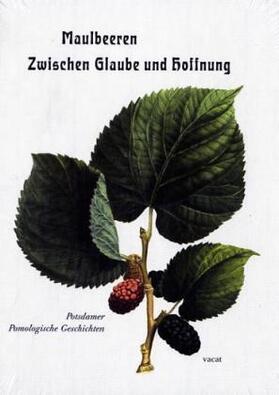 Heilmeyer / Seiler |  Maulbeeren - Zwischen Glaube und Hoffnung | Buch |  Sack Fachmedien