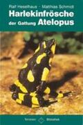 Heselhaus / Schmidt |  Harlekinfrösche der Gattung Atelopus | Buch |  Sack Fachmedien