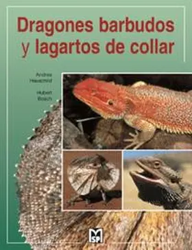 Hausschild / Hauschild / Bosch |  Dragones barbudos y lagartos de collar | Buch |  Sack Fachmedien