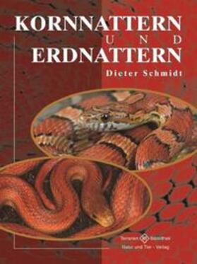 Schmidt |  Schmidt, D: Kornnattern | Buch |  Sack Fachmedien