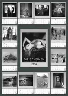 Lemm |  Die Schönen | Sonstiges |  Sack Fachmedien