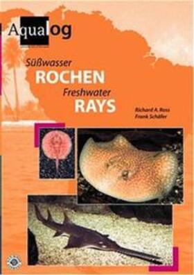 Ross / Schäfer | Süßwasser-Rochen | Buch | 978-3-931702-93-9 | sack.de