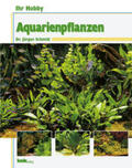 Schmidt |  Ihr Hobby Aquarienpflanzen | Buch |  Sack Fachmedien