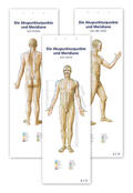 Kolster |  Akupunktur-Poster-Set, 3 Poster | Buch |  Sack Fachmedien