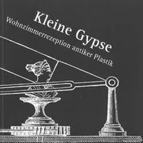  Kleine Gypse | Buch |  Sack Fachmedien