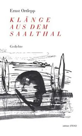Ortlepp / Rittig / Ziemann |  Klänge aus dem Saalthal | Buch |  Sack Fachmedien