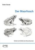 Glandt |  Der Moorfrosch | Buch |  Sack Fachmedien