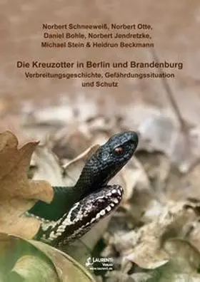 Schneeweiß / Otte / Bohle |  Die Kreuzotter in Berlin und Brandenburg | Buch |  Sack Fachmedien