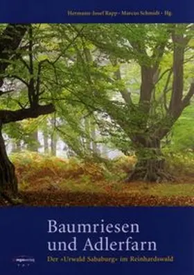 Rapp / Schmidt |  Baumriesen und Adlerfarn | Buch |  Sack Fachmedien