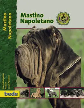 Paulsen |  Mastino Napoletano | Buch |  Sack Fachmedien