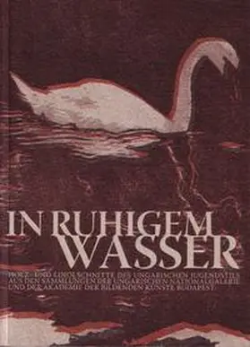 Städtisches Kunstmuseum Spendhaus Reutlingen / Földi |  In ruhigem Wasser | Buch |  Sack Fachmedien