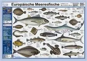 Welter-Schultes |  Europäische Meeresfische | Sonstiges |  Sack Fachmedien