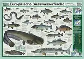 Welter-Schultes |  Europäische Süsswasserfische | Sonstiges |  Sack Fachmedien