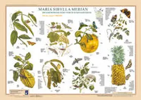 Welter-Schultes |  Maria Sibylla Merian: Metamorphosis Insectorum Surinamensium. Mai bis August 1700/1701 | Sonstiges |  Sack Fachmedien