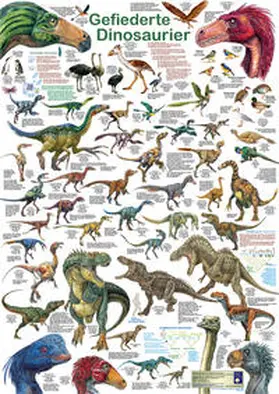 Welter-Schultes |  Gefiederte Dinosaurier | Sonstiges |  Sack Fachmedien
