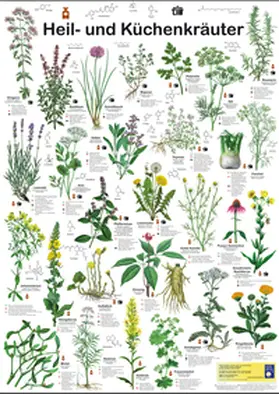 Welter-Schultes |  Heil- und Küchenkräuter | Sonstiges |  Sack Fachmedien