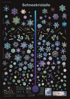 Span |  Schneekristalle | Sonstiges |  Sack Fachmedien