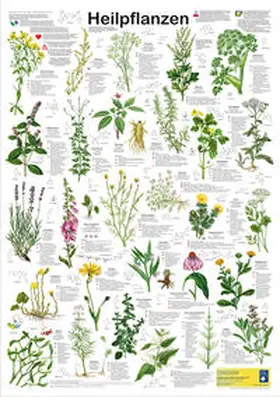 Welter-Schultes |  Heilpflanzen | Sonstiges |  Sack Fachmedien