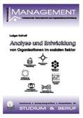 Kolhoff |  Analyse und Entwicklung von Organisationen im sozialen Sektor | Buch |  Sack Fachmedien