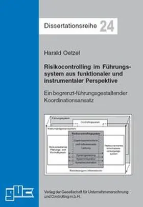 Oetzel |  Risikocontrolling im Führungssystem aus funktionaler und instrumentaler Perspektive | Buch |  Sack Fachmedien