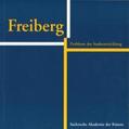  Freiberg. Probleme der Stadtentwicklung | Buch |  Sack Fachmedien