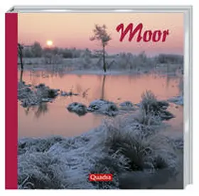 Rolfes |  Moor | Buch |  Sack Fachmedien