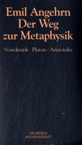 Angehrn | Der Weg zur Metaphysik | Buch | 978-3-934730-95-3 | sack.de