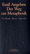 Angehrn |  Der Weg zur Metaphysik | Buch |  Sack Fachmedien