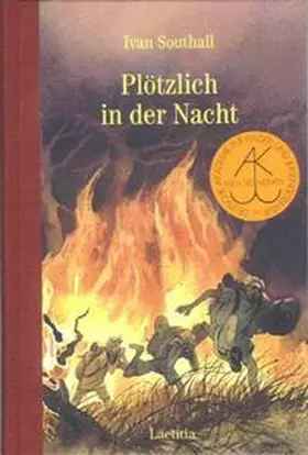 Southall |  Plötzlich in der Nacht | Buch |  Sack Fachmedien