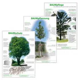 Klug |  Infoposter Baumpflanzung, Baumpflege, Baumschutz | Sonstiges |  Sack Fachmedien